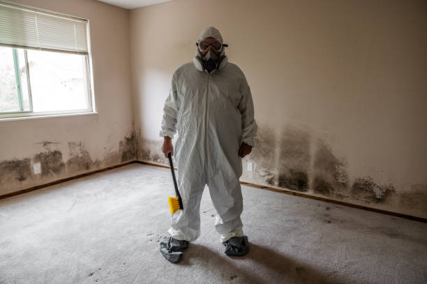 Best Emergency Mold Removal  in Kean University, NJ